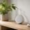 タニタTT-585レビュー｜小型温湿度計の見やすさと注意点を確認